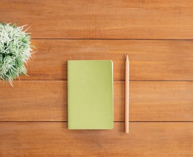 Notepad and pencil on desk with plant