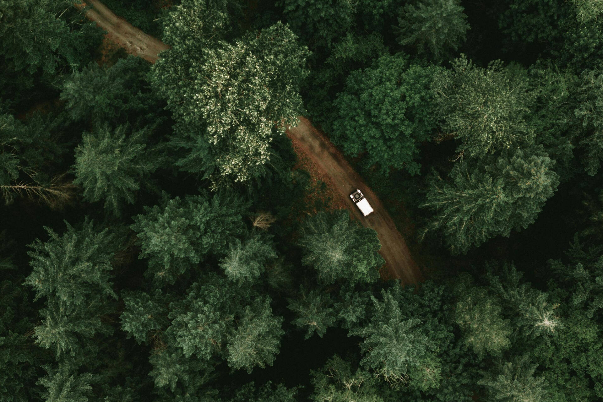 Alon Article | CEO Magazine