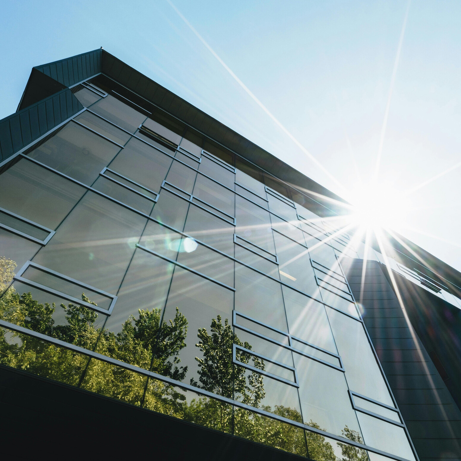 Sustainable Leadership Article | CEO Magazine