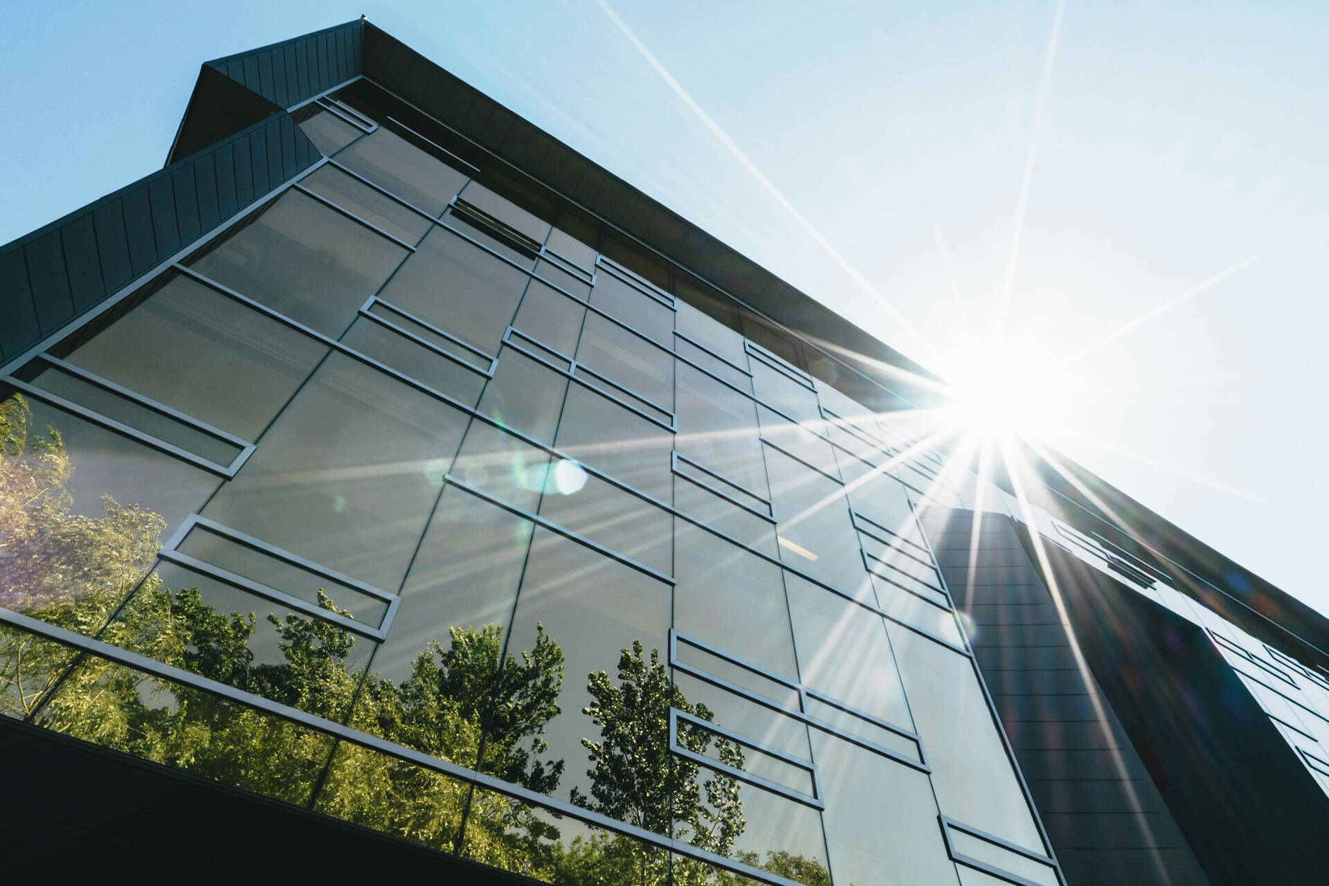 Sustainable Leadership Article | CEO Magazine