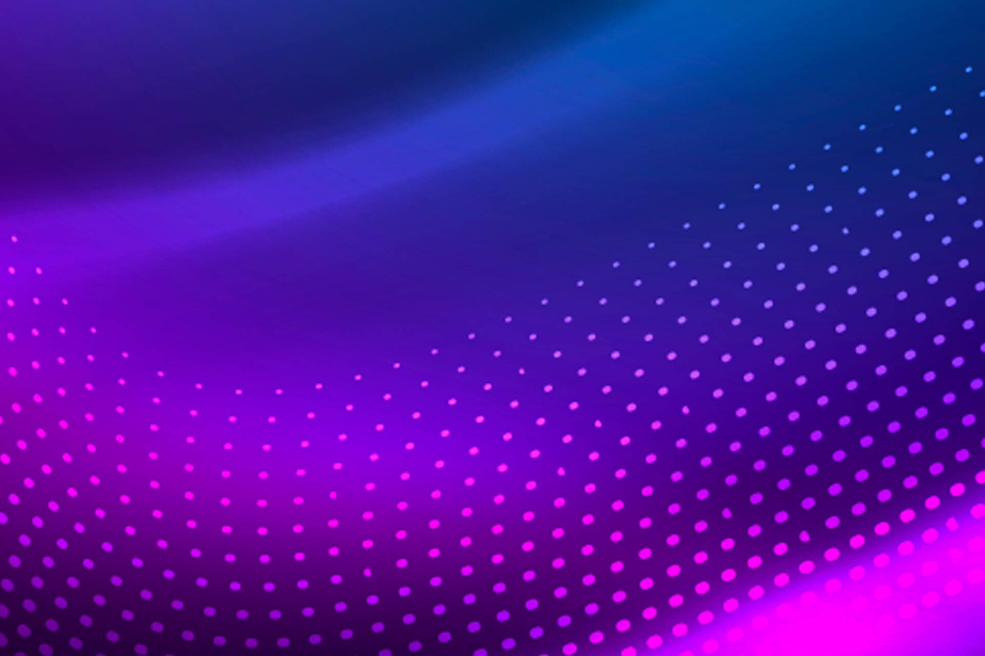 USF Article | CEO Magazine